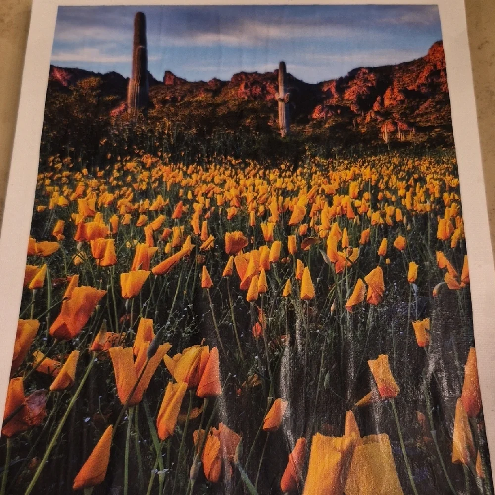 Vibrant Orange Flower Field Canvas Art - Picture 3 of 4